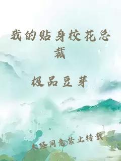 我的贴身校花总裁