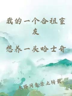 我的一个合租室友