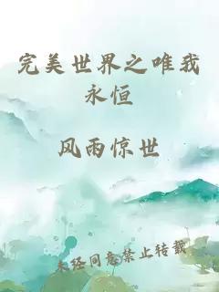 完美世界之唯我永恒