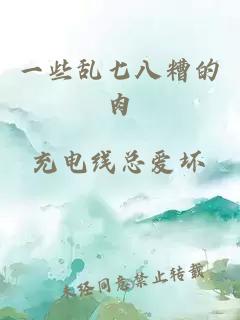 一些乱七八糟的肉